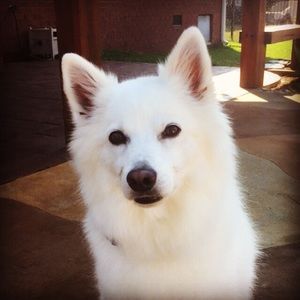 Meet your Posher, Jill